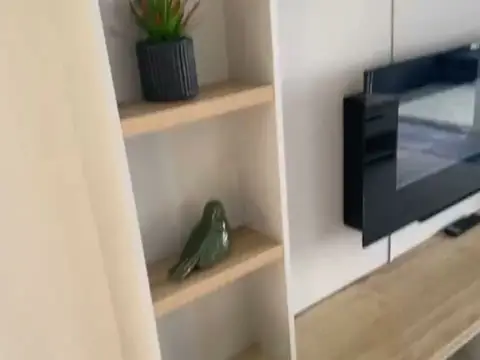 Wall-mounted TV and shelves with plants in the lounge